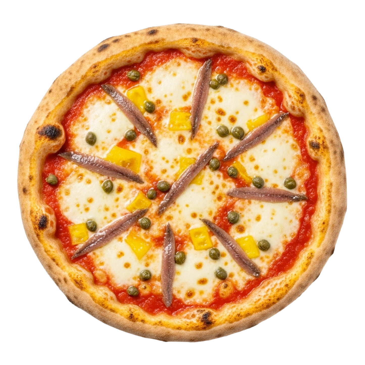 Napolitaine